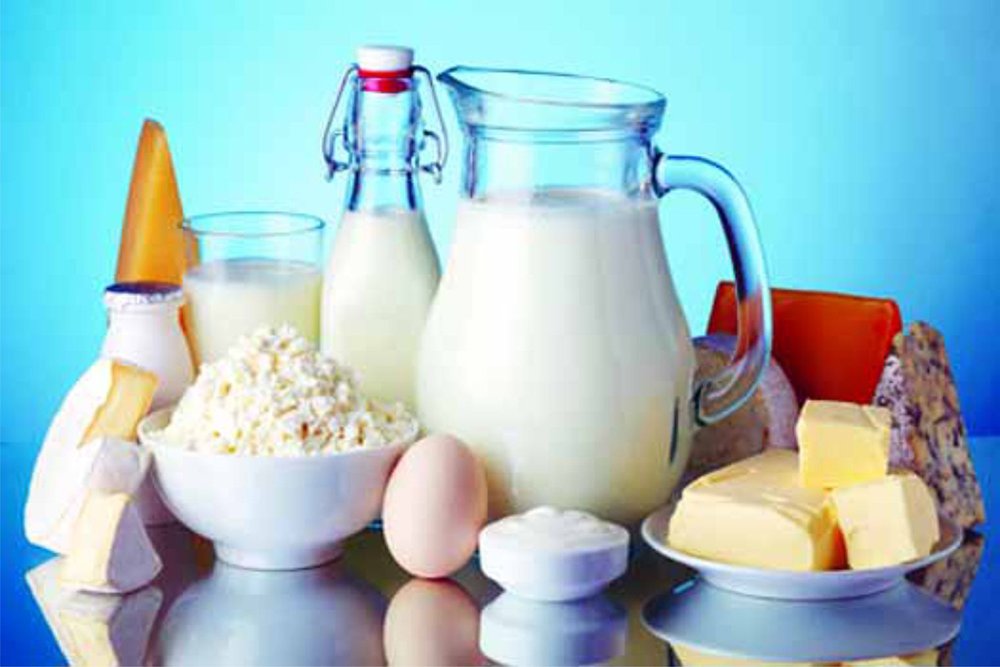 Coil Evaporative Condenser for Food Industry