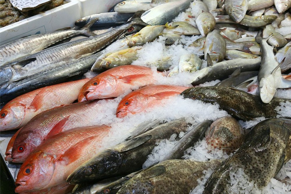 Coil Evaporative Condenser for Refrigeration System